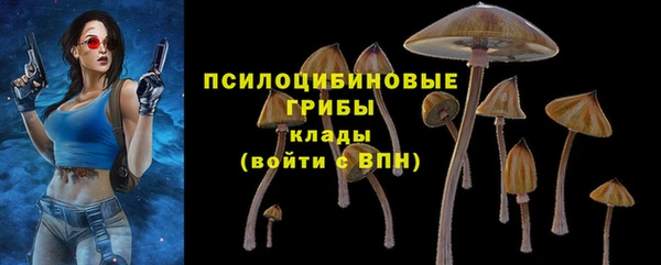 а пвп мука Зеленодольск