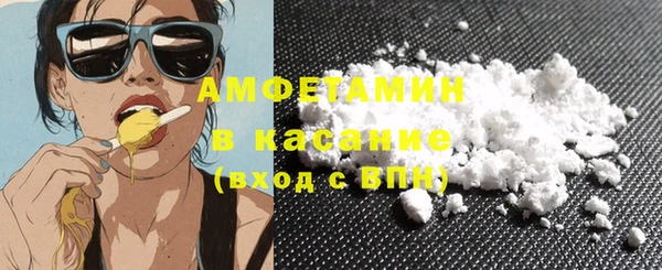 сатива Абинск