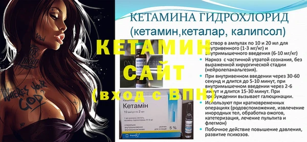 сатива Абинск