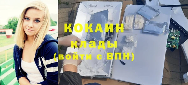 сатива Абинск
