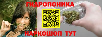 СК Белореченск