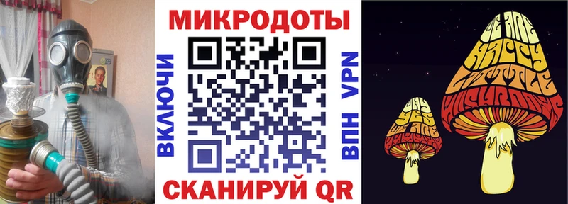 Галлюциногенные грибы Cubensis  купить  цена  Стерлитамак 