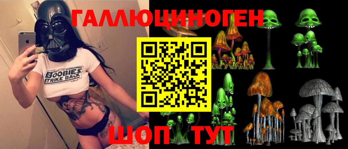 Псилоцибиновые грибы Psilocybine cubensis Стерлитамак