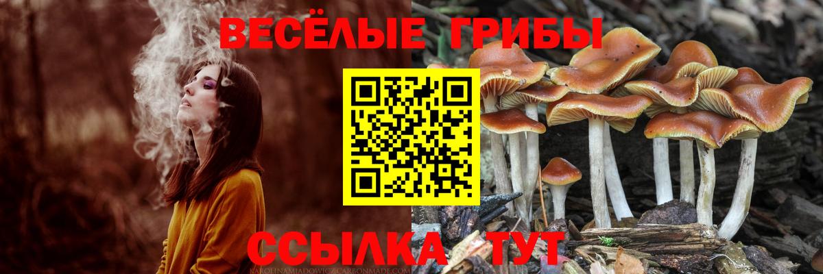 наркошоп  Галлюциногенные грибы мицелий  Вход с VPN  Псилоцибиновые грибы мицелий  Стерлитамак 